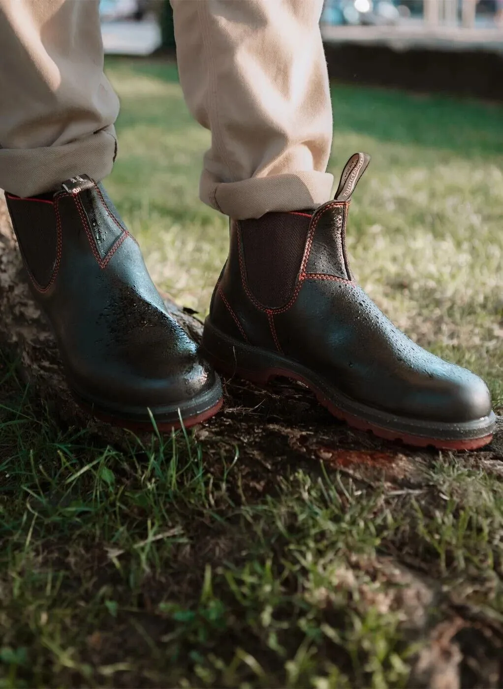 Blundstone #2342 Black/Red Chelsea Boot