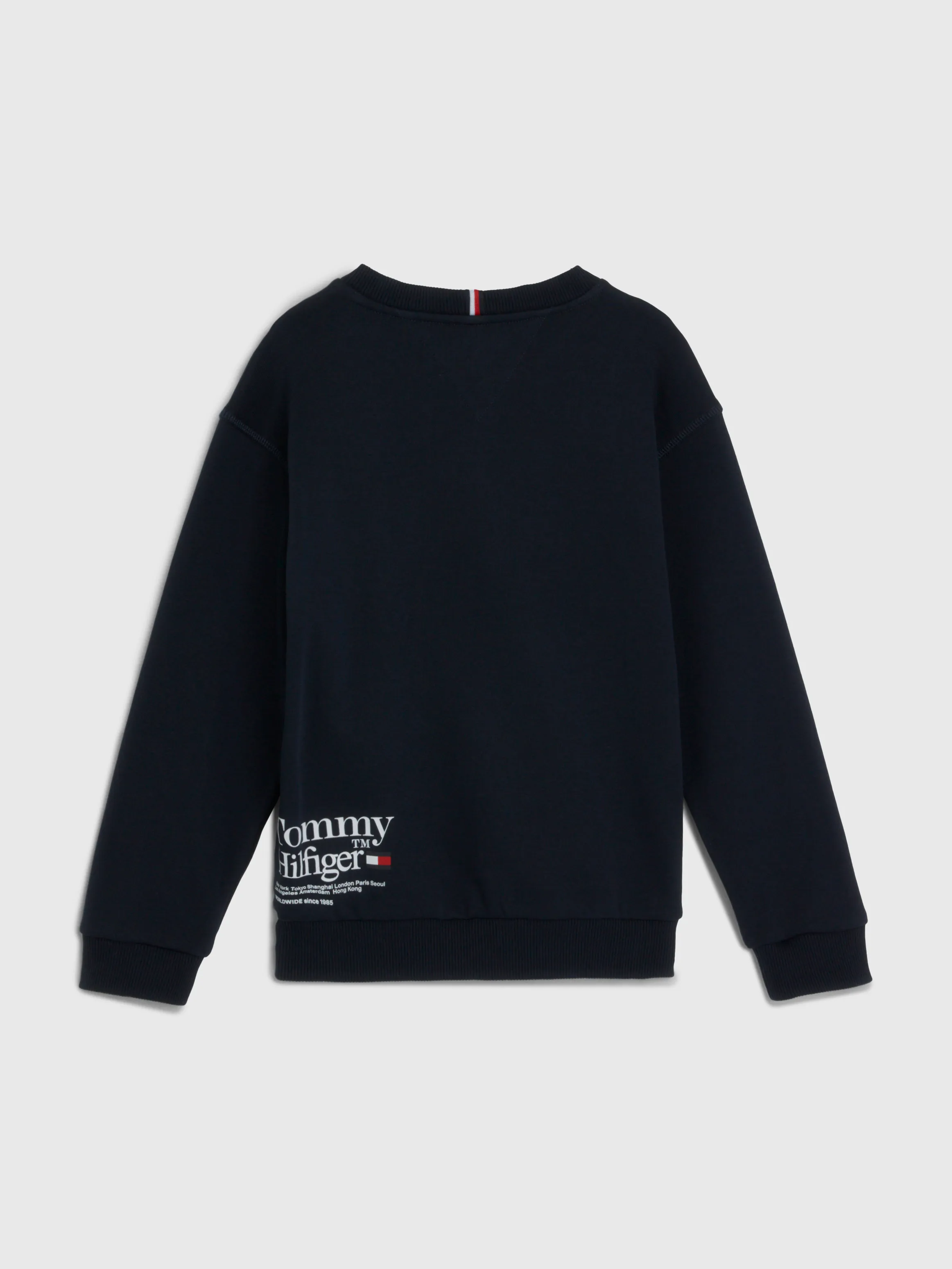 Boys 3-7 Terry Logo Sweatshirt | Sweatshirts & Hoodies | Tommy Kids