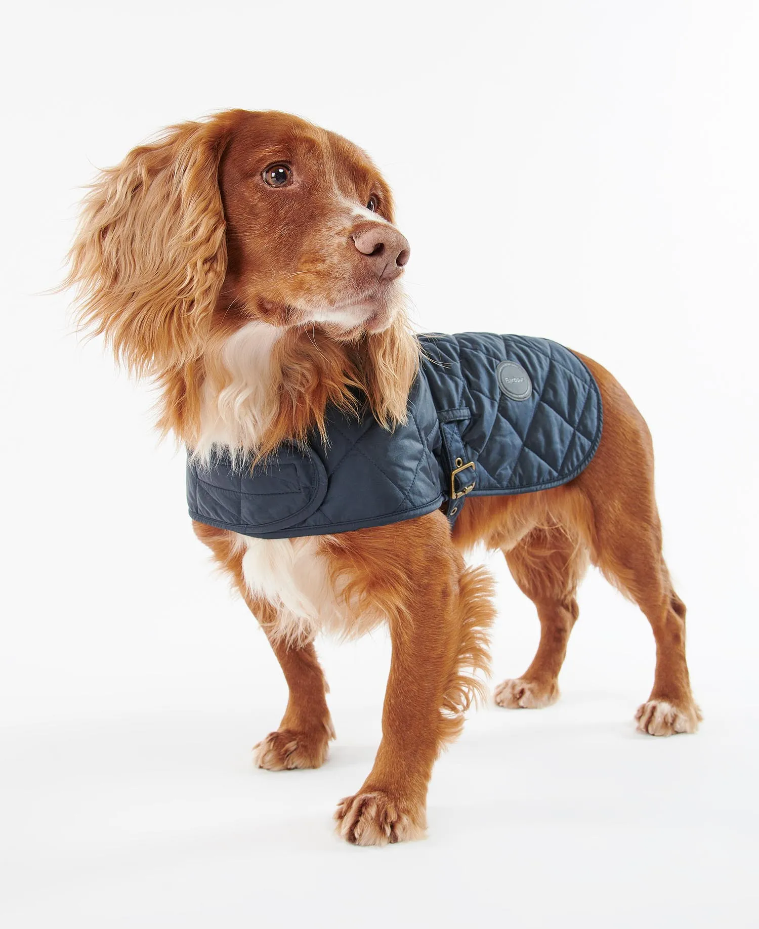 Quilted Dog Coat Navy