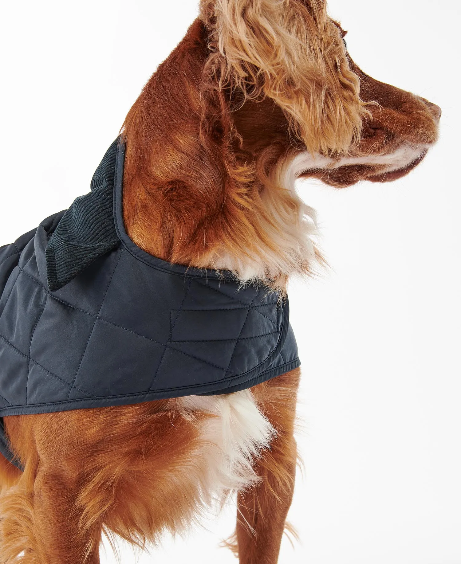 Quilted Dog Coat Navy