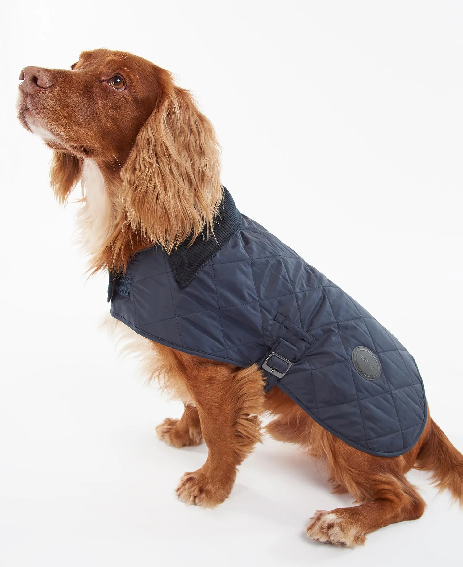 Quilted Dog Coat Navy