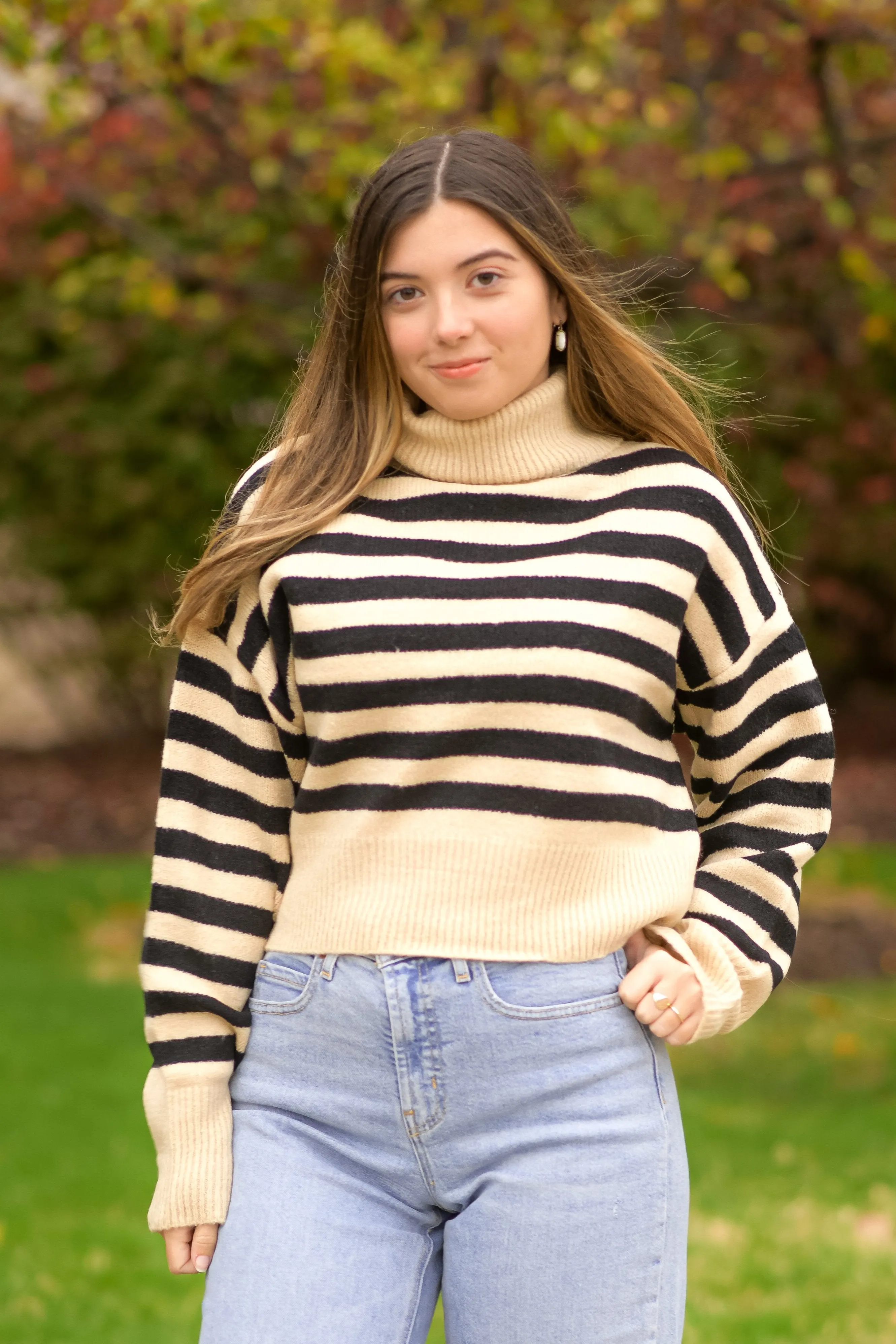 Striped Turtleneck Sweater